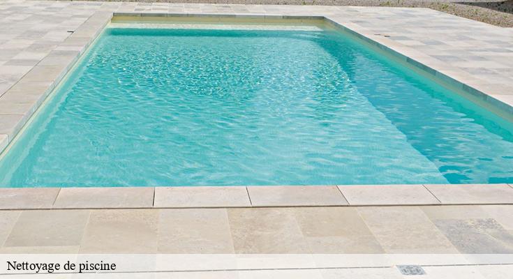 Guide complet du nettoyage de piscine par Nettoyage Habitat dans le 93