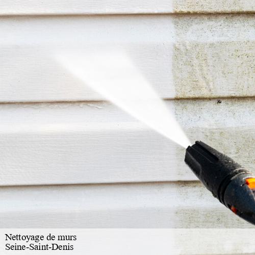 Seine-Saint-Denis : l'importance d'un entretien régulier des murs
