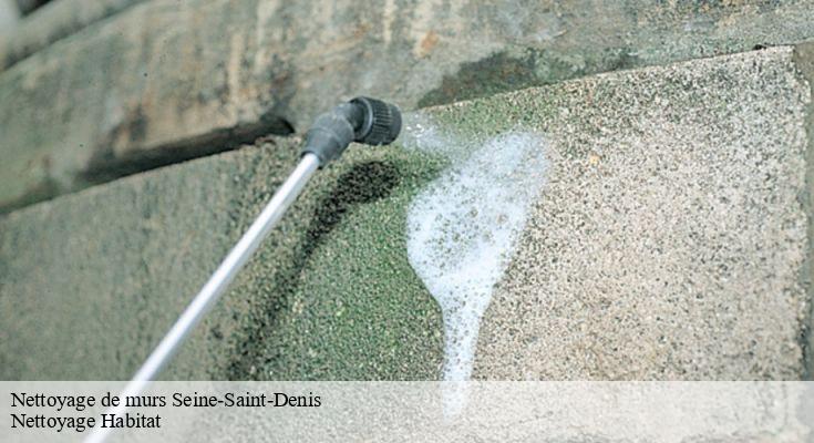 Quand et pourquoi nettoyer vos murs extérieurs ?