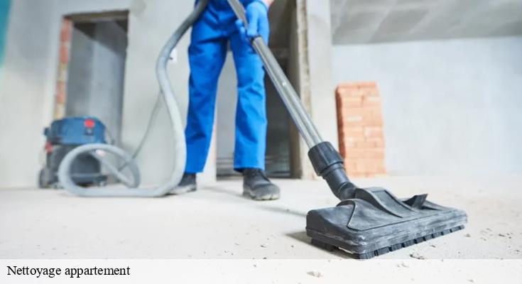Conseils professionnels pour entretenir votre appartement Seine-Saint-Denis