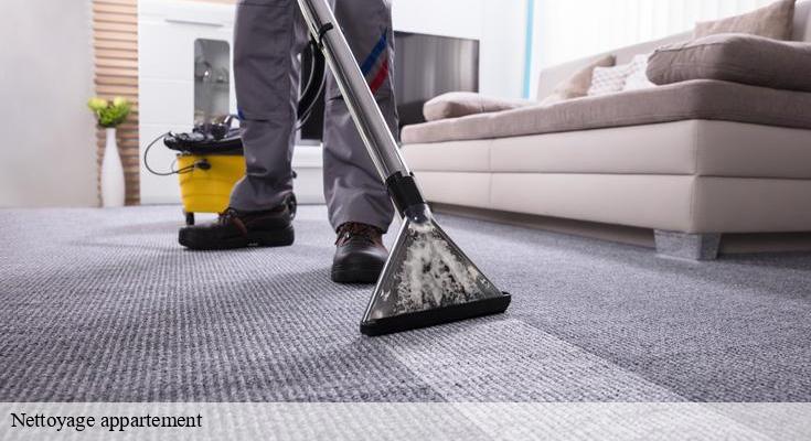 Les produits indispensables pour un nettoyage efficace de votre appartement