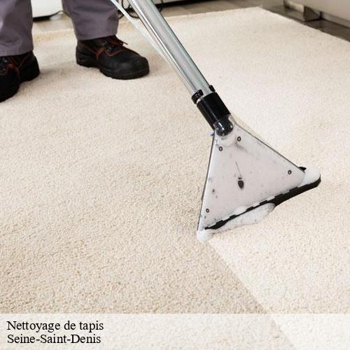 Services de nettoyage de tapis dans le 93 : Expertise et efficacité