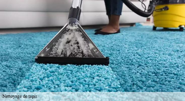 Technologies innovantes pour le nettoyage de vos tapis chez Nettoyage Habitat