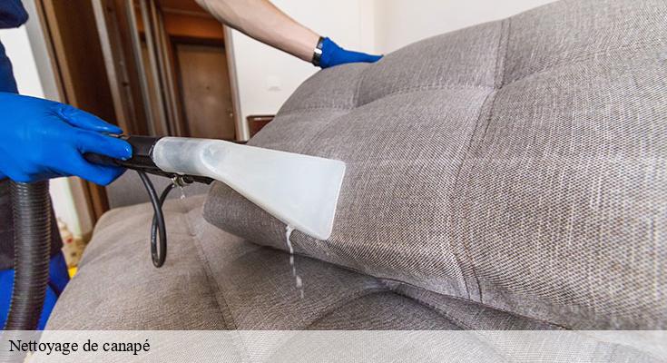 Les meilleures techniques pour enlever les taches sur votre canapé