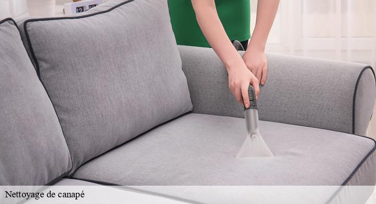 Nettoyage Habitat : des solutions avancées pour le soin de vos canapés