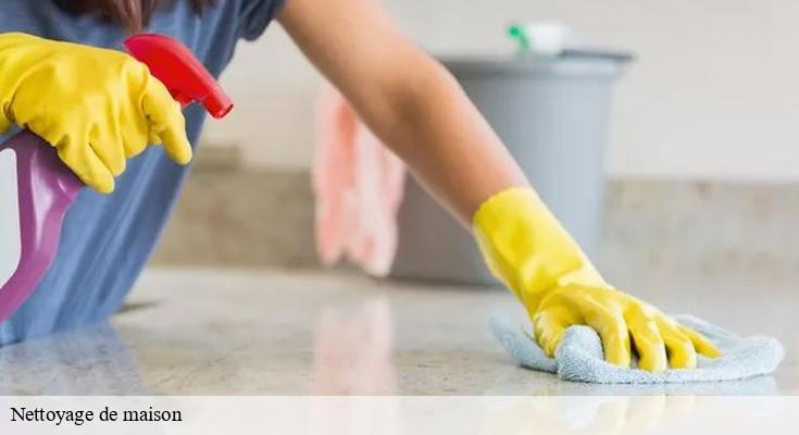 93380 : conseils pour maintenir votre maison propre au fil des saisons