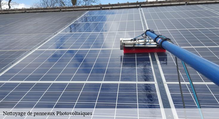 Le service de nettoyage de panneaux photovoltaïques qui fait la différence à Livry Gargan