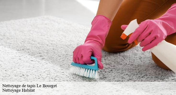 Nettoyage express de tapis : Rapidité et efficacité garanties par Nettoyage Habitat