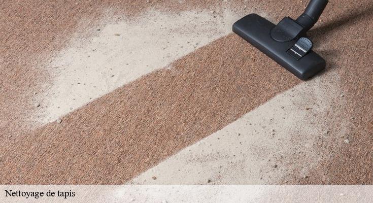 Nettoyage Habitat : Votre partenaire expert en entretien de tapis à Pierrefitte Sur Seine