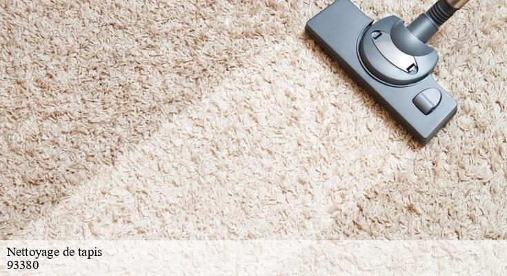 Guide complet pour l'entretien de vos tapis à 93380