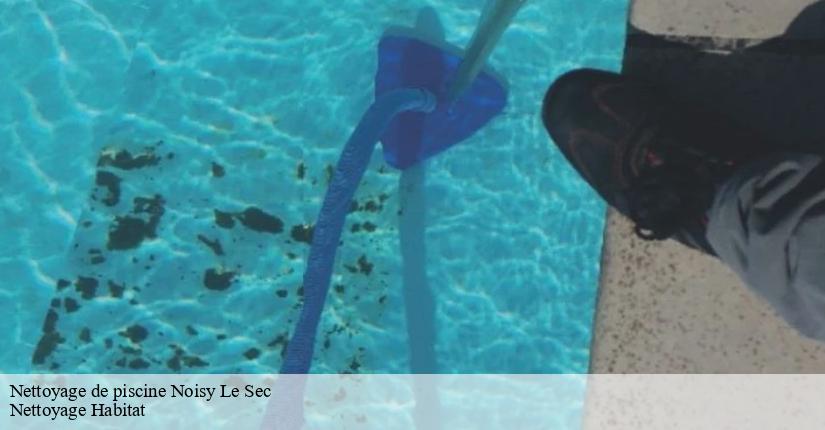 Les étapes clés pour un entretien optimal de votre piscine à 93130