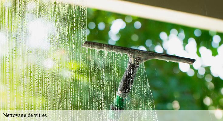 Astuces pour un nettoyage de vitres efficace à Les Lilas