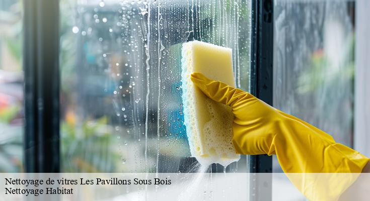 Astuces pour un nettoyage de vitres efficace à Les Pavillons Sous Bois