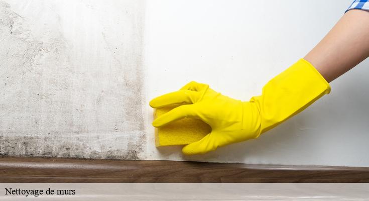 93500 : techniques modernes pour nettoyer vos murs efficacement