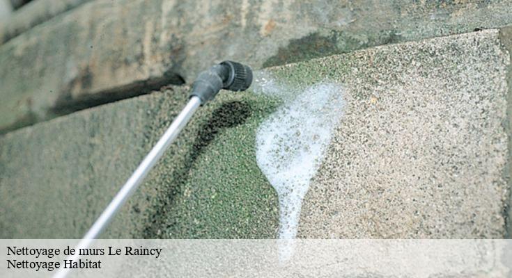 Techniques efficaces pour le nettoyage de murs à Le Raincy